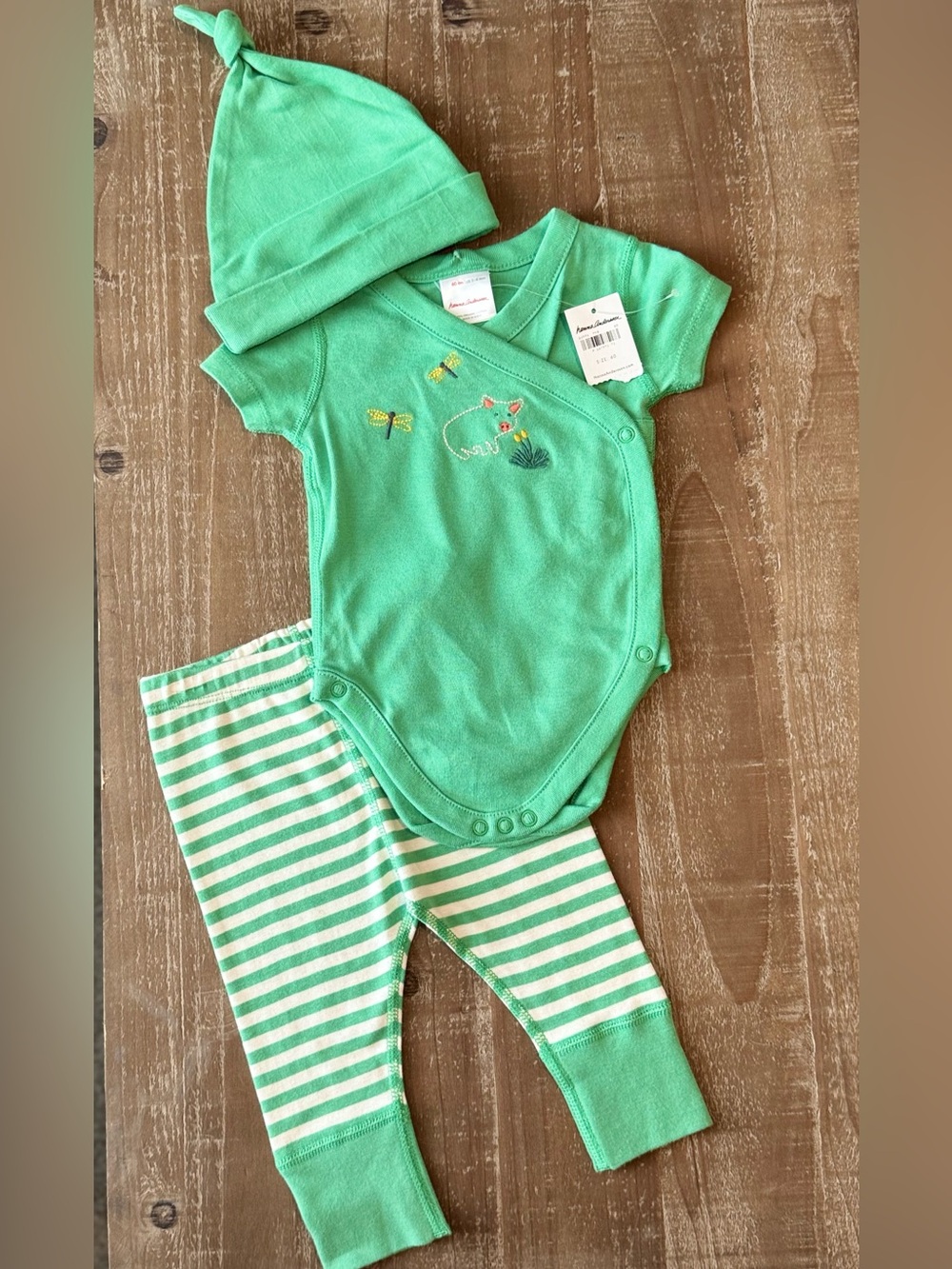 +Hanna Andersson Mint Green Dragonfly Bodysuit Legging Hat Set 3-6M Baby Girl